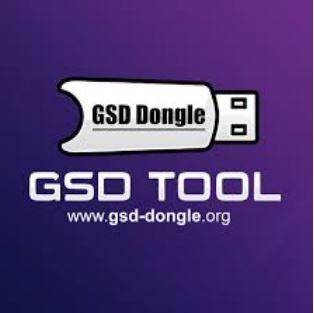 GSD Dongle license activation